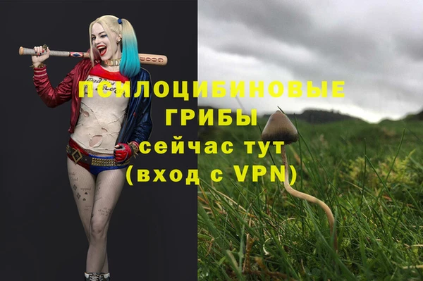 дурь Абдулино