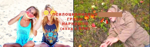 спайс Абинск